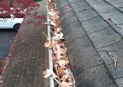 Preferred Gutter Cleaning