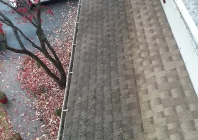 Reputable Gutter Cleaning