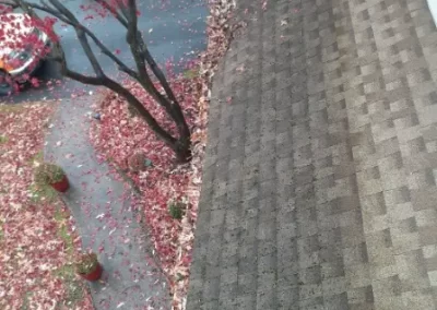 Respected Gutter Cleaning