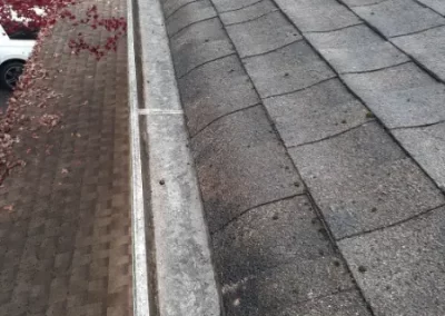 Superb Gutter Cleaning